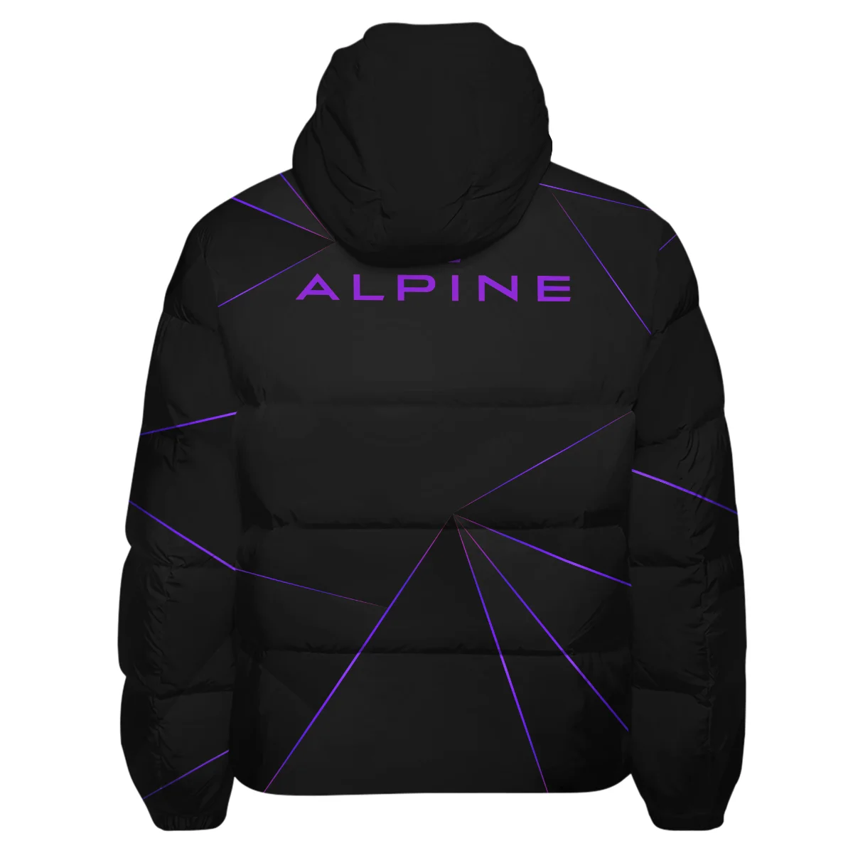 Alpine F1 Teamwear Down & Puffer Jackets BL8326A1ALPHCJ - Image 3