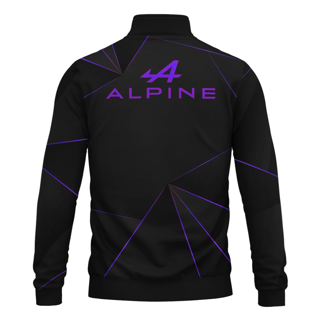 Alpine F1 Teamwear Quarter Zip Sweatshirt BL8326A1ALPQZS - Image 3